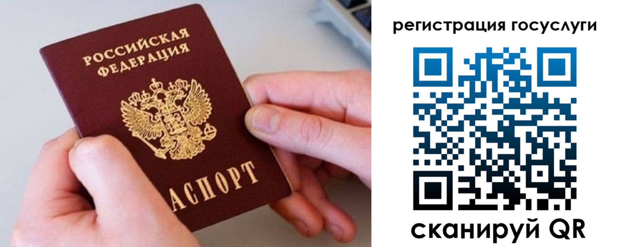 миграционный учет в Лосино-Петровском